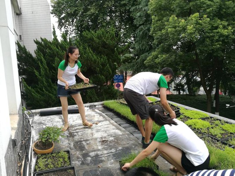 苗木批发价格选购指南